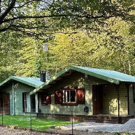 샬레 Le Du Lys Avec Bain Scandinave Insolys 구비외